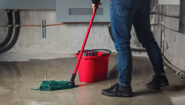 Best Water damage restoration near me  in Pioneer, CA