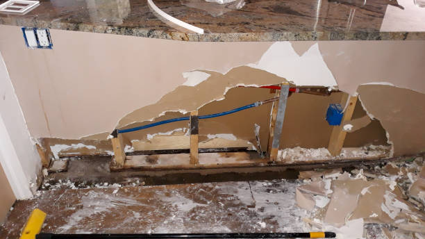 Best Flood restoration services  in Pioneer, CA