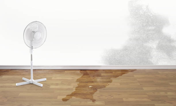 Best Water damage restoration cost  in Pioneer, CA