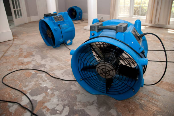 Best Local water damage restoration  in Pioneer, CA