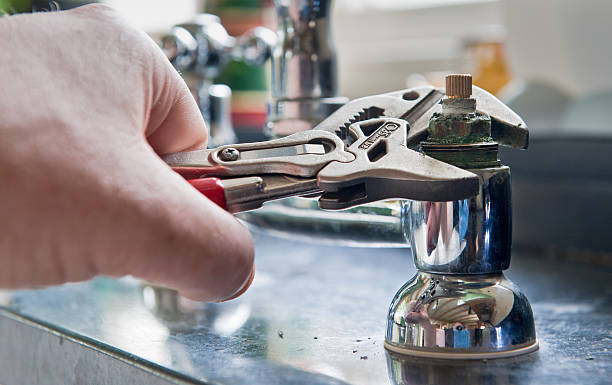 Best Flooded house restoration  in Pioneer, CA