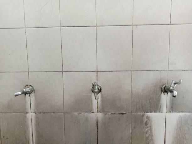 Best 24-hour water damage restoration  in Pioneer, CA