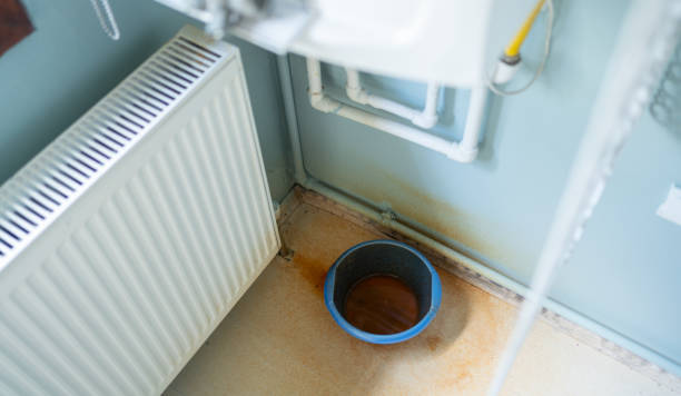 Best Ceiling water damage repair  in Pioneer, CA
