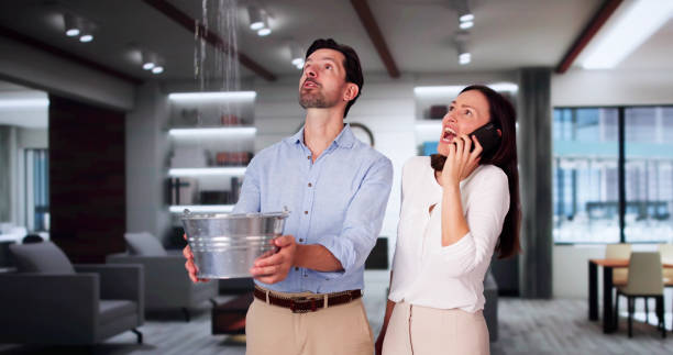 Best Professional water damage repair  in Pioneer, CA